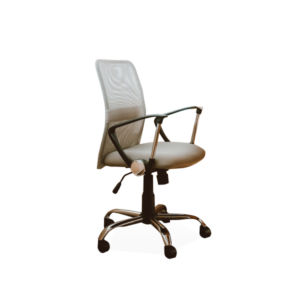 working chair with armrest